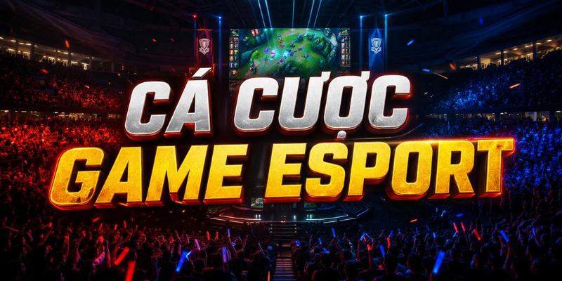 Bật mí mẹo hay để tham gia cá cược Game Esport UU88 thắng lớn